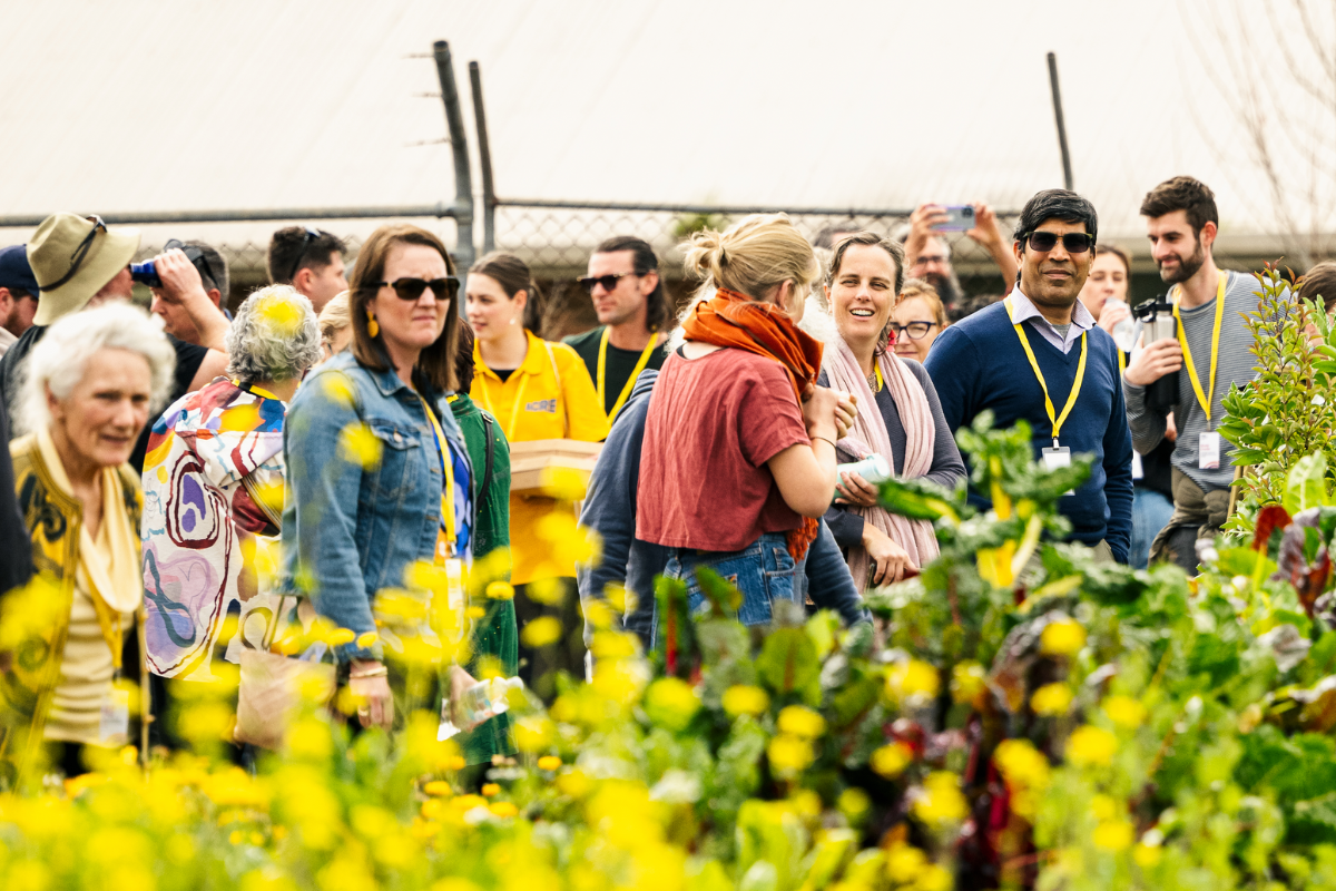 Group of people wearing lanyards touring a garden with bright yellow flowers, engaging in conversation and enjoying the outdoor setting.